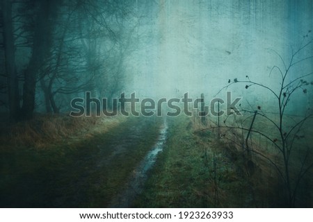 A spooky country path next to a forest and fields in the English countryside on a foggy winters day. With a grunge, artistic, edit