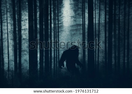 A dark scary concept. Of a mysterious bigfoot figure, walking through a forest. Silhouetted against trees in a forest. With a grunge, textured edit. 