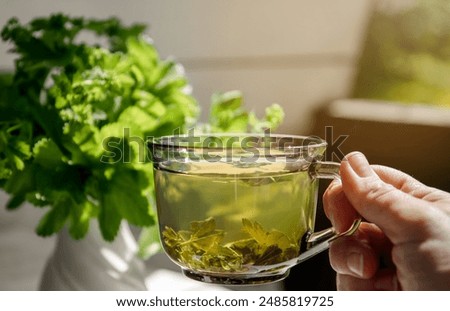 Similar – Image, Stock Photo Herbal tea in glass cup with honey and  fresh medicinal plants. Dark concrete background with dark cloth. Top view. Natural health drinks concept