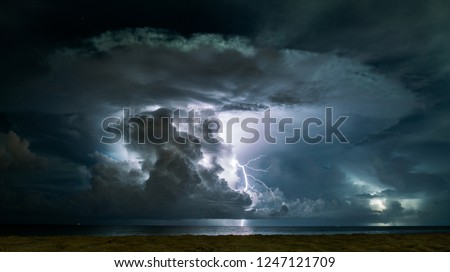 Similar – Image, Stock Photo The power of nature can be seen in the partial view of an oak tree in spring with fresh green oak leaves on the branch, which is illuminated by the spring sun against a light blue sky.