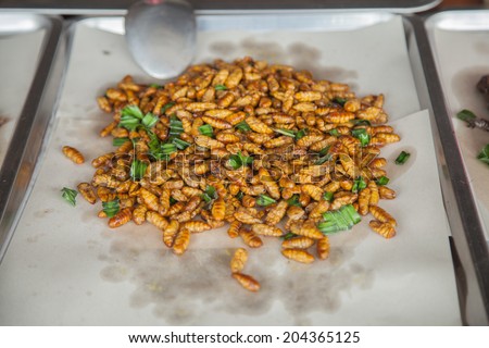 silkworms Fried insects food from nature.,shallow dof
