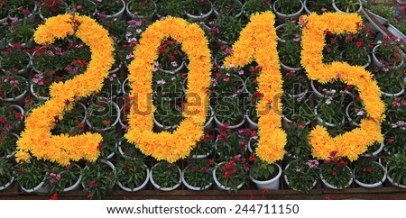 Sign of 2015 new year, welcome 2015 board made from colorful flowers.