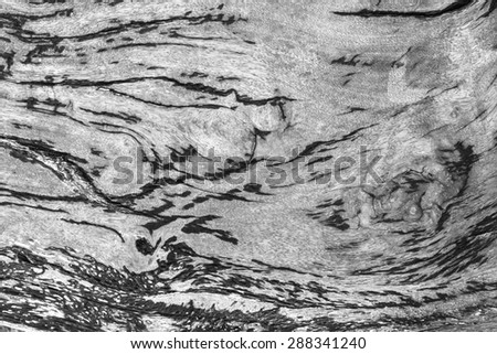 Black white wood texture. Abstract background