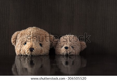 brown teddy bear and Younger brother bear in old wood background