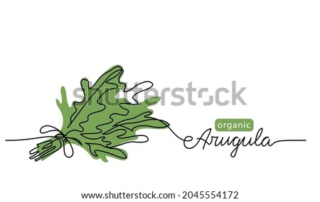 Arugula, rucola bunch simple vector drawing. One continuous line art border, background, label design with lettering arugula. Zdjęcia stock © 