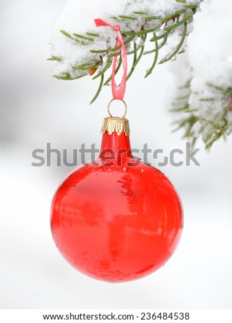 Transparent red snow ball on a fir branch