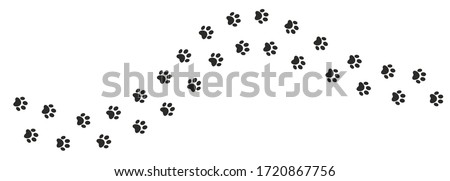 Cat paw. Pet foot trail print. Step shape. Vector illustration