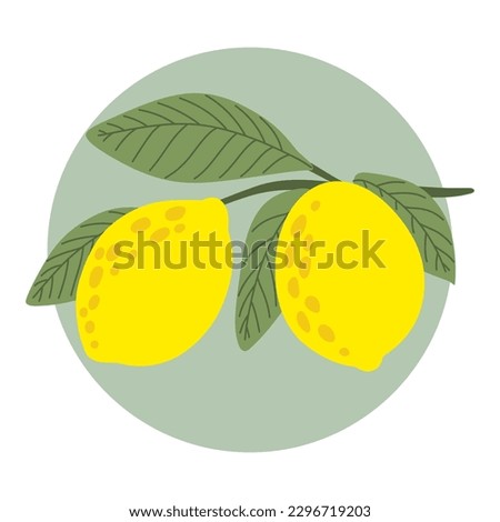 Similar – Image, Stock Photo Bunch of lemons on ground under tree