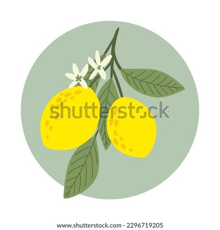 Similar – Image, Stock Photo Bunch of lemons on ground under tree