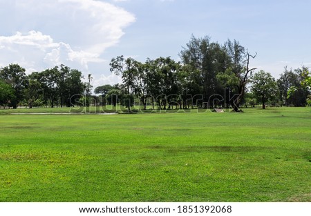 Empty dry cracked swamp reclamation soil, land plot for housing construction Green meadow, beautiful views and beautiful blue sky with fresh air Land for sales landscape concept. Imagine de stoc © 