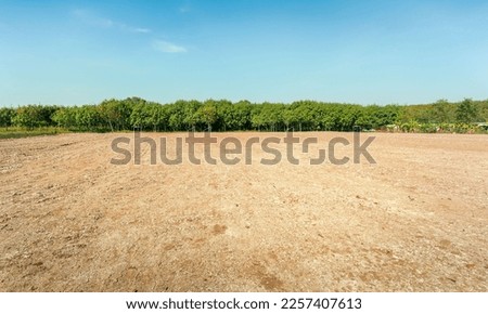 Similar – Image, Stock Photo a field with lots of straw bales, with a blue sky