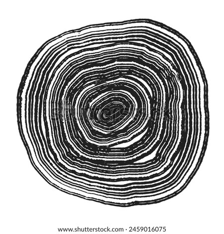 Cross section of tree stump slice with age rings. Black and white grunge wooden texture with concentric rings. Tree ring pattern isolated on white background. Wood grain