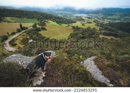 Similar – Image, Stock Photo woman walking arround the street in Bilbao city, Spain