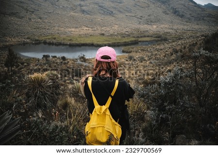 Similar – Foto Bild Landschaft Sumapaz Paramo bei Bogotá. Kolumbien, mit der endemischen Pflanze „Frailejones“ mit See und Felsenberg.  Süd-Amerika, Andengebirge. Trekking, Sportwandern