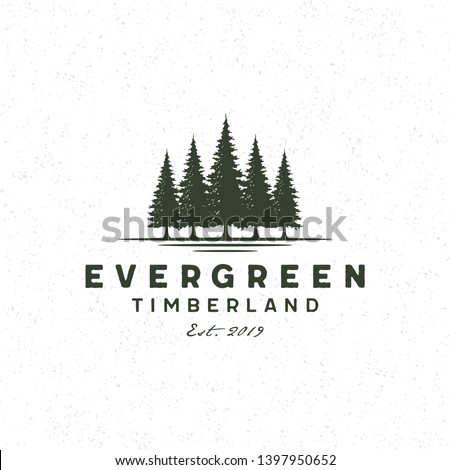 Rustic Retro Vintage pine evergreen fir hemlock spruce conifer cedar coniferous cypress larch pinus trees silhouette logo design