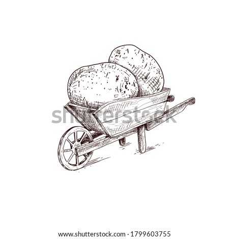 Hand drawn farmer wooden cart with potato. Farm fresh delivery design template. Vector illustration isolated on white background.