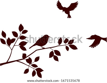 Similar – Image, Stock Photo Three branches of a Dragon tree also known as Dracaena draco or Drago from Canarian islands