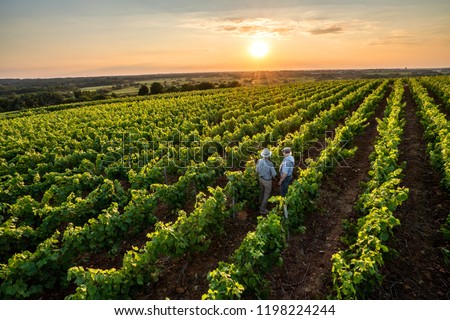 Similar – Foto Bild Harvester von Oben 2