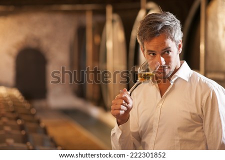 Professional winemaker smelling a glass of white wine in his traditional cellar surrounded by wooden barrels