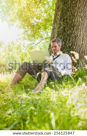 A nice looking grey hair business man is sitting against a tree in the grass, looking at his computer. He is relaxing, enjoying the shadow of the tree in a sunny day.