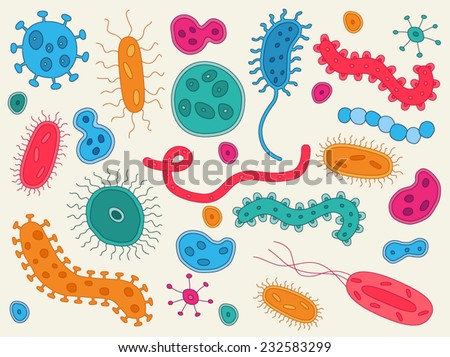 Hand Drawn Bacteria / Germs Stock Vector Illustration 232583299 ...
