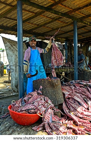 Sri Lanka, November 14: Indian Ocean fisherman processing carcasses of fish and preparing them for sale at the fish market. Sri Lanka, Bentol, November 14.2014