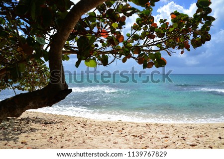 Similar – Image, Stock Photo Direct current Beach Ocean