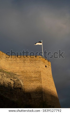 Similar – Image, Stock Photo Danish flag at dawn waving in the wind