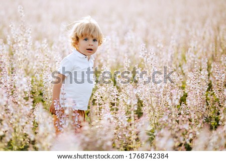 Similar – Image, Stock Photo Little boy with flower in the hands