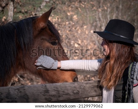 Similar – Image, Stock Photo Chestnut mare with broad blaze