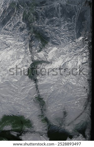 Similar – Image, Stock Photo Ivy grows in elegant lines on a grey concrete wall