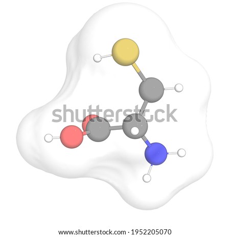 3D rendering of L-Cysteine with white transparent surface over a white opaque background. Also called cysteine and cystein. Foto stock © 
