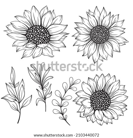 Sunflower Outline, Sunflower Line Art, Floral Line Drawing, black and white sunflowers vector illustration