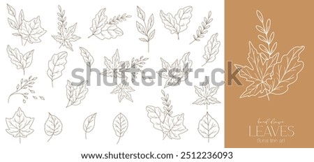 Fall leaf outline isolated on white. Autumn leaves line art. Leaf Line Art Illustration Hand Drawn. Fall Coloring Page with Leaves. Thanksgiving graphics