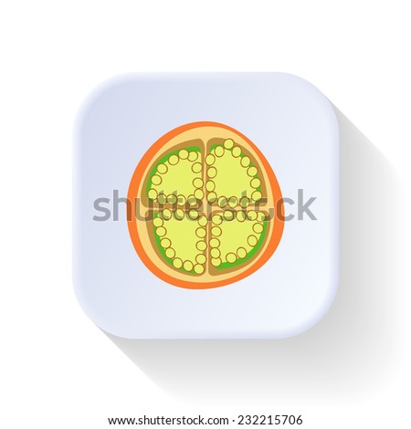 Lulu fruit vector graphic illustration design art