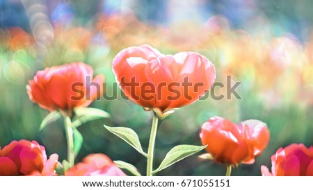 Heart Flower