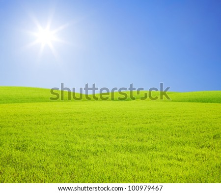 meadows against the sun on blue sky