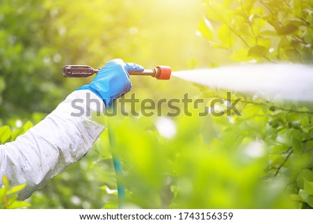 Spray ecological pesticide. Farmer fumigate in protective suit and mask lemon trees. Man spraying toxic pesticides, pesticide, insecticides ストックフォト © 