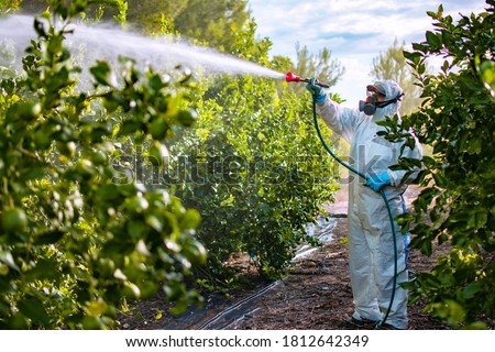 Farmer in protective clothes spray pesticides. Farm worker spray pesticide insecticide on fruit lemon trees. Ecological insecticides ストックフォト © 