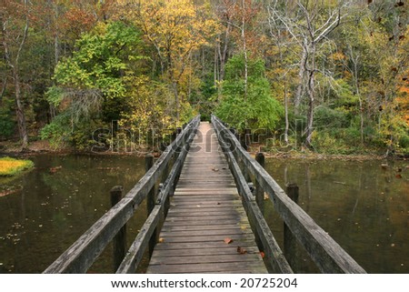 Wooden Foot Bridge,  John Bryan State Park, Ohio