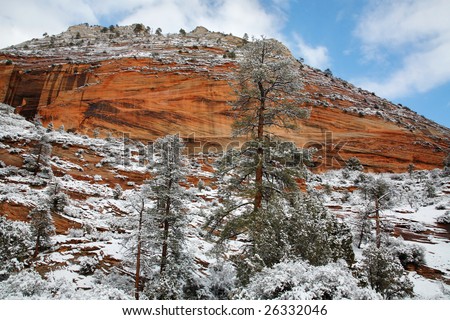 Winter Snows At Zion National Park, Utah