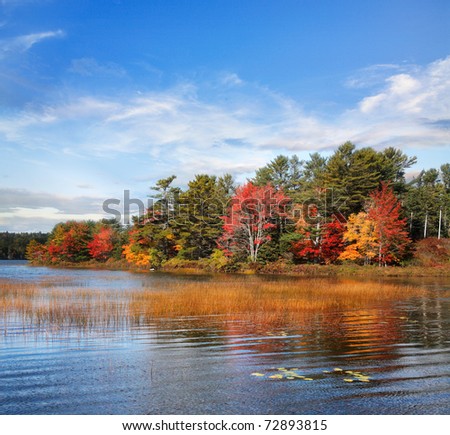 Autumn At Somes Pond, Mount Desert Island, Acadia National Park, Maine ...