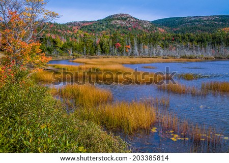 Seal Cove Pond In The Colors Of Autumn, Mount Desert Island, Acadia National Park, Maine, USA