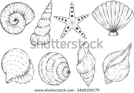 Hand drawn underwater sea shells set vector