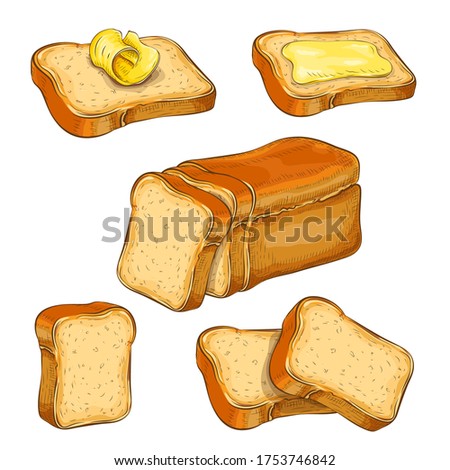 set of wheat sliced bread and toasts illustration isolated on white. white square loaf with various bread slices icon collection. fresh baked bread. Vector colored vintage engraved sketch. for design