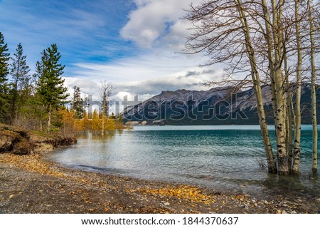 Similar – Image, Stock Photo On the shore of a lake the angler waits for his catch