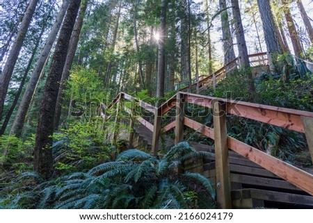 Beautiful wooden path in the rainforest. Lynn Canyon Park, North Vancouver, British Columbia, Canada. Foto stock © 