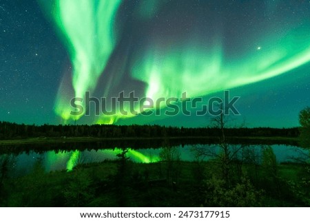 Similar – Image, Stock Photo Amazing view of northern lights in night sky