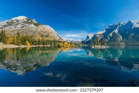 Similar – Image, Stock Photo Picturesque scenery of lake and road