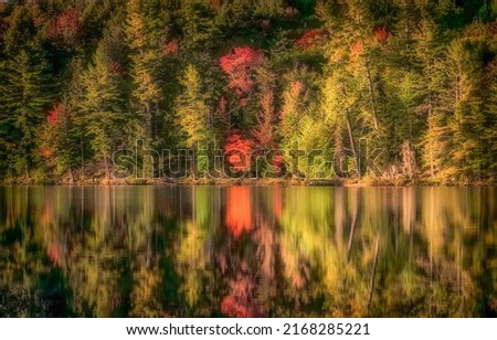 The autumn foliage of the forest is reflected in lake water. Autumn reflections. Autumn forest reflection in water. Beautiful autumn reflection in water Imagine de stoc © 
